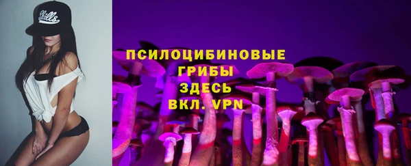 сатива Абинск