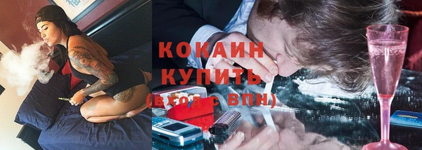 сатива Абинск