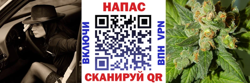 Конопля SATIVA & INDICA Туран